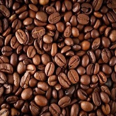 Sản xuất/Gia công Cà phê Robusta